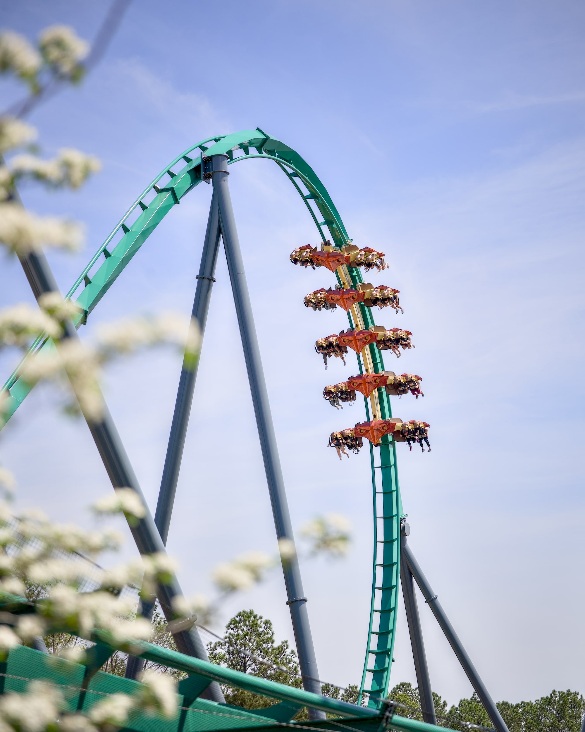Raptor Roller Coaster Kings Dominion
